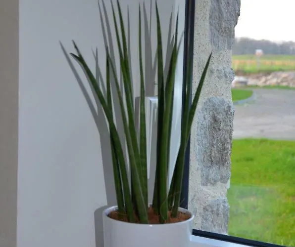 Casa de Férias La Remise 4 Etoiles Saint-Hilaire-de-Mortagne